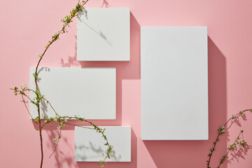 Scene with empty podiums, small flowers and their shadow on pink background. Top view, flat lay cosmetic mockup. Natural scene.