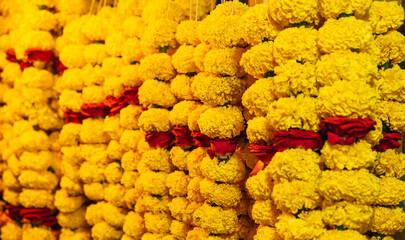 Background of yellow chrysanthemum buds, creation of perfumes and aromatic additives. Indian ritual decorations.