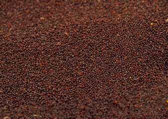 Lots of allspice on the market. Brown background for food with spices