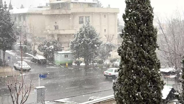 light snowfall beautiful scenic winter landscape of the city in middle east cypress tree covered by snow car driving in city center downtown Tehran Iran Luxury district north foothill mountain region