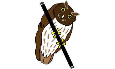 世界自然遺産の生き物　リュウキュウコノハズク　ポップ調