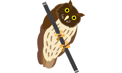 世界自然遺産の生き物　リュウキュウコノハズク　ソフト調