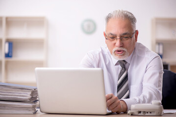 Old male boss employee working in the office