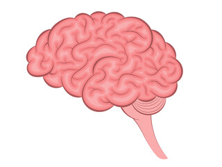 Human brain. Internal organ, anatomy. Vector cartoon icon. illustration isolated on white background.
