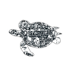 Black and white sketch of a turtle with transparent background