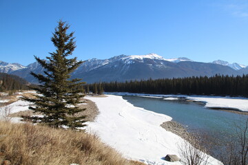 Spring On The River, Jasper National Park, Alberta