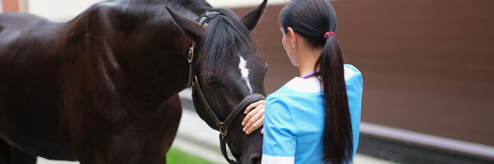 Veterinarian strokes and communicates with horse outdoors - obrazy, fototapety, plakaty