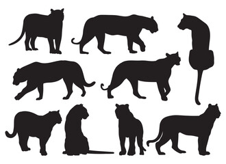 Tiger leopard silhouette set for cutting, stencil templates and decals
