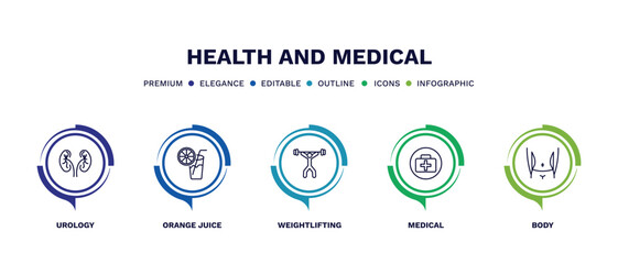 set of health and medical thin line icons. health and medical outline icons with infographic template. linear icons such as urology, orange juice, weightlifting, medical, body vector.
