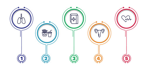 set of health and medical thin line icons. health and medical outline icons with infographic template. linear icons such as lung, medical book, cardiology, fast food, gynecology vector.