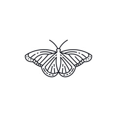 Butterfly Logo Design