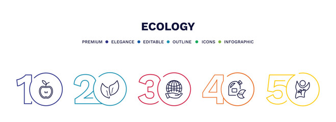 set of ecology thin line icons. ecology outline icons with infographic template. linear icons such as half, two leaves, globe on hand, biodiesel, eco volunteer vector.