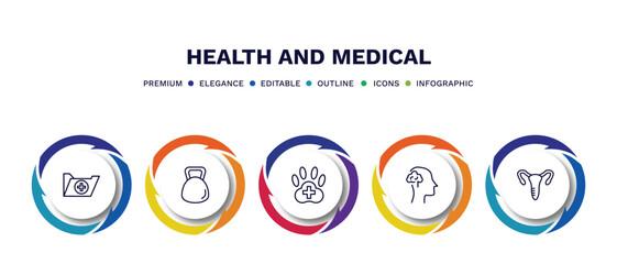 set of health and medical thin line icons. health and medical outline icons with infographic template. linear icons such as records, dumbbell, veterinary, neurology, gynecology vector.