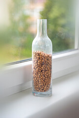 Cherry pits in a glass bottle on the windowsill