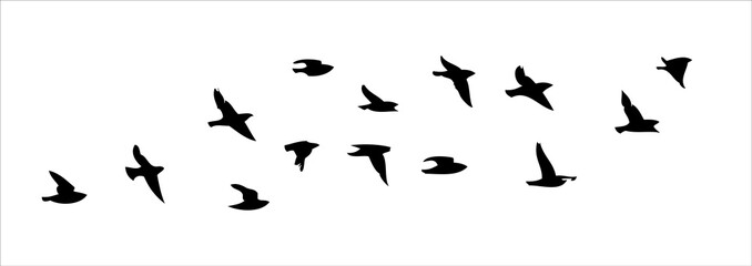 A flock of flying birds. Free birds. Vector illustration