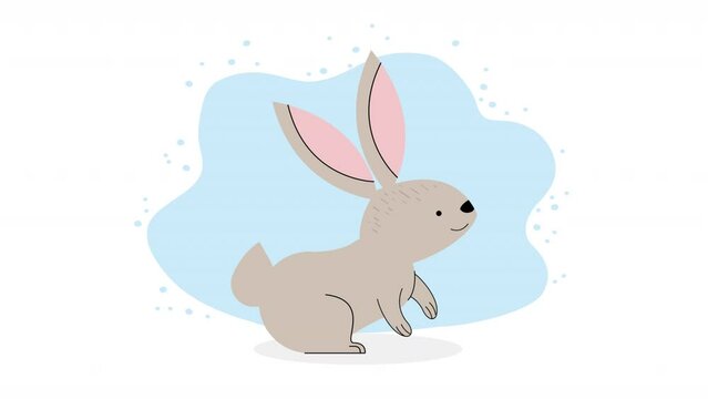 cute rabbit gray running animal animation