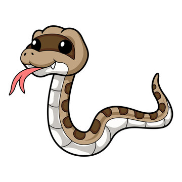 Cute happy gopher snake cartoon