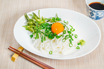 薬味をのせた米粉の冷たいうどん