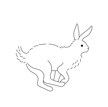 Vector isolated one single fast running hare rabbit bunny side view colorless black and white contour line easy drawing
