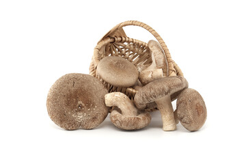 Fresh shiitake mushrooms in wicker basket over white