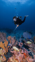 female scuba diver posing in front of coral reef in a night dive
