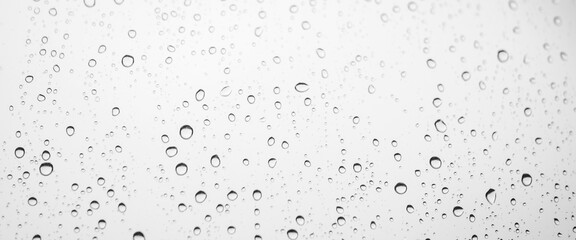 Minimal grayscale backdrop with rain droplets on white glass. Light wet window with rainy drops closeup in black-white. Blurry minimalist monochrome background of window glass with raindrops close up.
