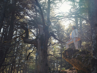 woman enjoys nature, beautiful forest in mountains
