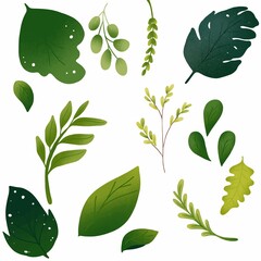 Green leaf design elements set on a beige background vector