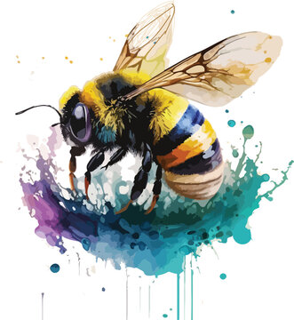 Watercolor Colorful Bee Vector With White Background 