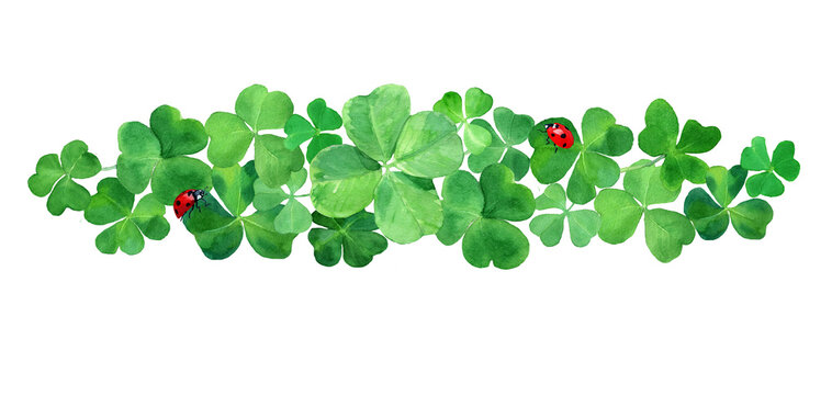 Watercolor drawn clover grass border with ladybugs. Botany frame Illustration with four leaves green clover & red bugs. Saint Patrick day background. Design for Ireland season holiday. Just add text.