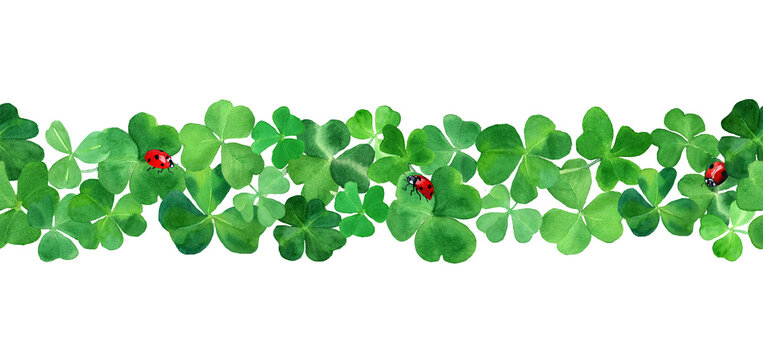 Watercolor drawn clover grass border with ladybugs. Botany frame Illustration with four leaves green clover & red bugs. Saint Patrick day background. Design for Ireland season holiday. Just add text.