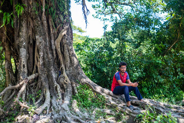 Naklejka na ściany i meble South asian young traveler taking rest under a large banyan tree 