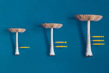 Three long-stemmed mushrooms arranged in size order with a syringe stuck in the smallest, two in...