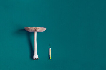 Long-stemmed mushroom with a yellow syringe on a textured turquoise background representing growth, transformation, mycology, and alternative medicine concept, with ample copy space.