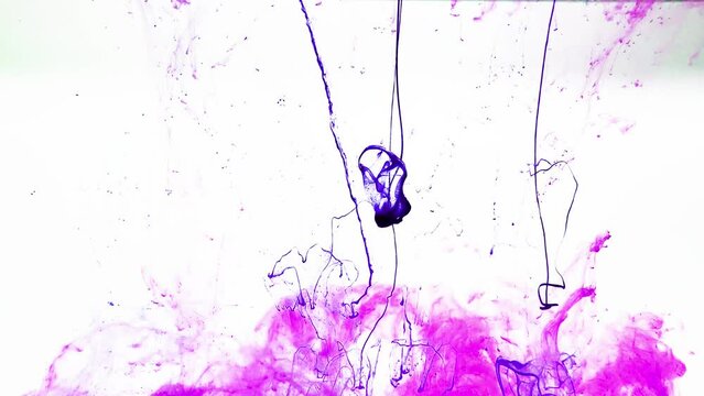 インクドロップ　水に落ちる青と紫のインク　白背景　Ink drop Blue and purple ink falling in water White background