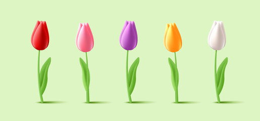 Tulip flowers on stem with leaves 3d illustration set with different blossom shape in colors