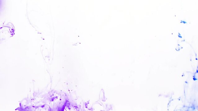 水に落ちる青と紫色のインク　白背景 Pink ink falling in water White background