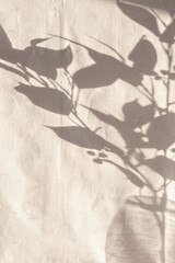 Floral sunlight shadows on neutral beige cloth, aesthetic minimalist natural background with copy space
