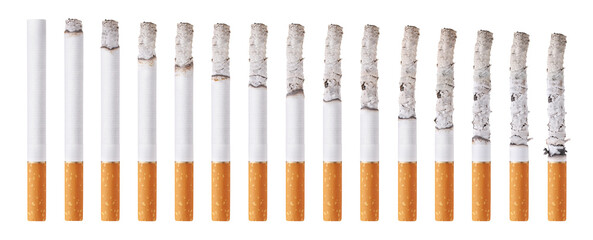 Cigarettes during different stages of burn isolated