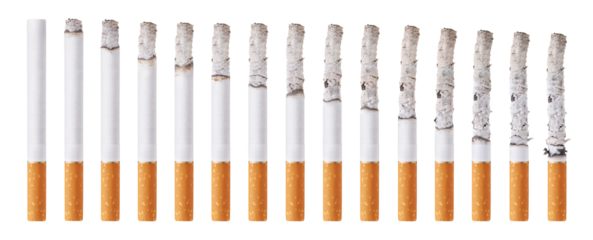 Cigarettes during different stages of burn isolated