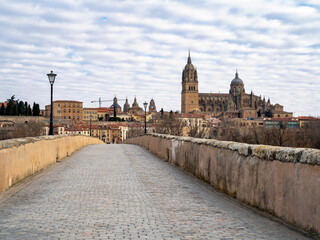 vista de la catedral de Salamanca al otro lado del rio Tormes.