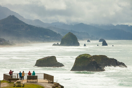 รูปภาพEcola – เลือกดูภาพถ่ายสต็อก เวกเตอร์ และวิดีโอ1,075 | Adobe Stock
