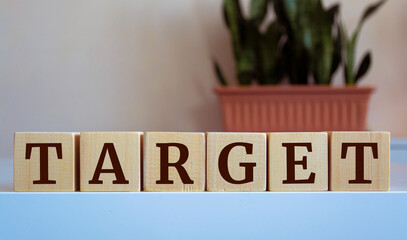 The word "Target" written on wood cube.