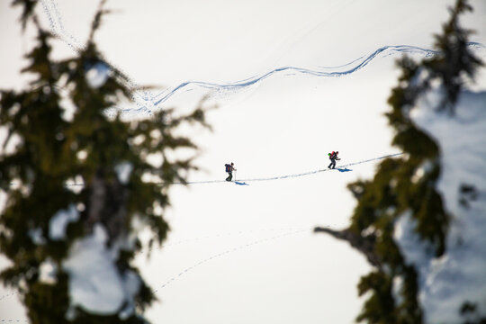 Ski Touring in Garibaldi Provincial Park, British Columbia, Canada.