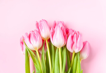 Pink tulip flowers. Beautiful spring floral composition.