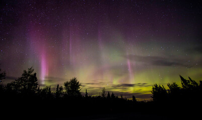 Aurora borealis in sky at night