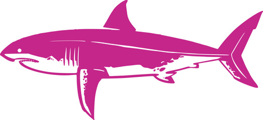 shark vector illustration