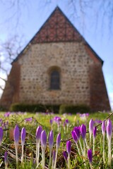 Der Fr&uuml;hling ist da