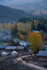 Altay Xinjiang,White Haba,