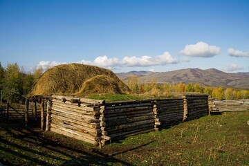 Altay Xinjiang,White Haba,